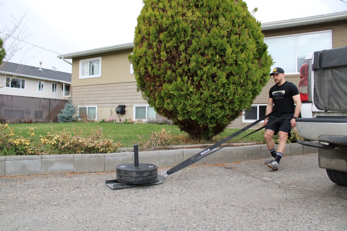 westside barbell sled