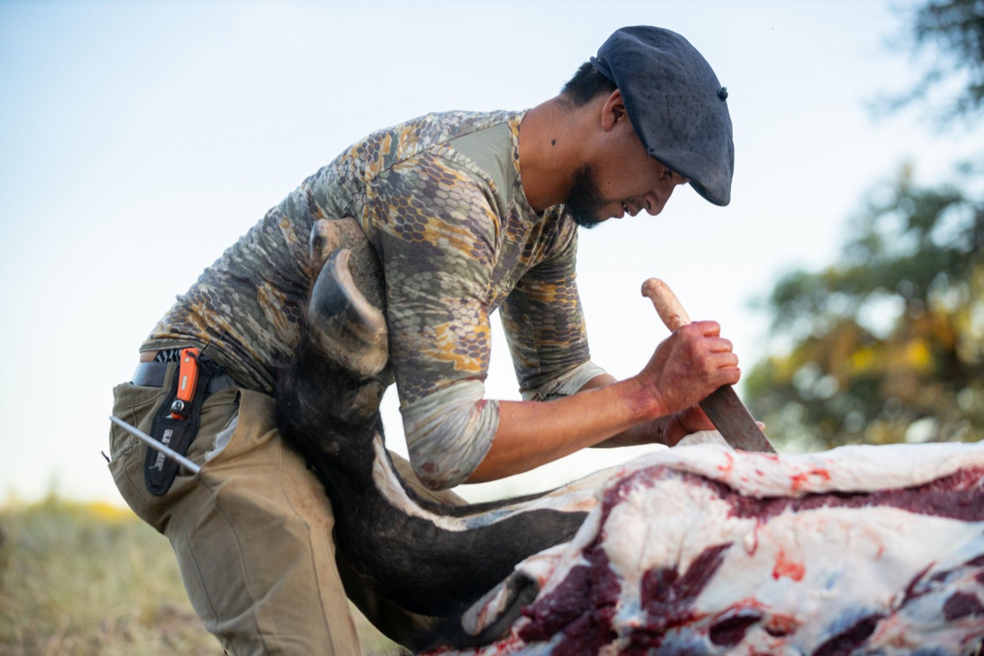 Early Season: Tahr Merino or Chamois